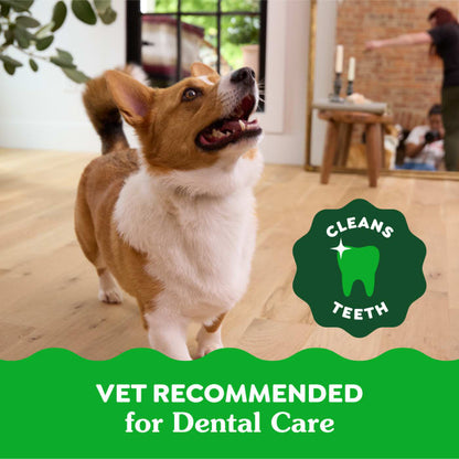 10258592_Greenies_PetiteDog_DentalTreats_Original_10_Treats_lifestyle2.jpg