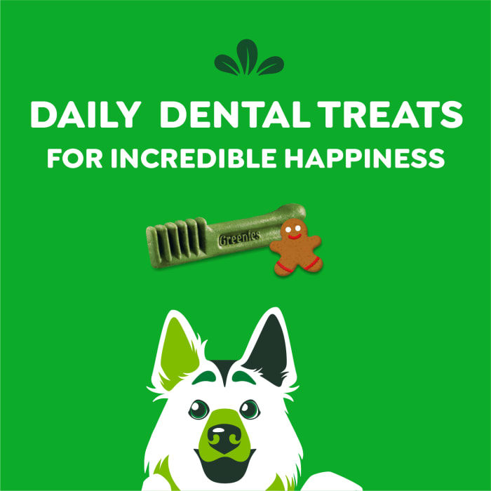 10271612_Greenies_LargeDog_DentalTreats_Gingerbread_4_Treats_f.jpg