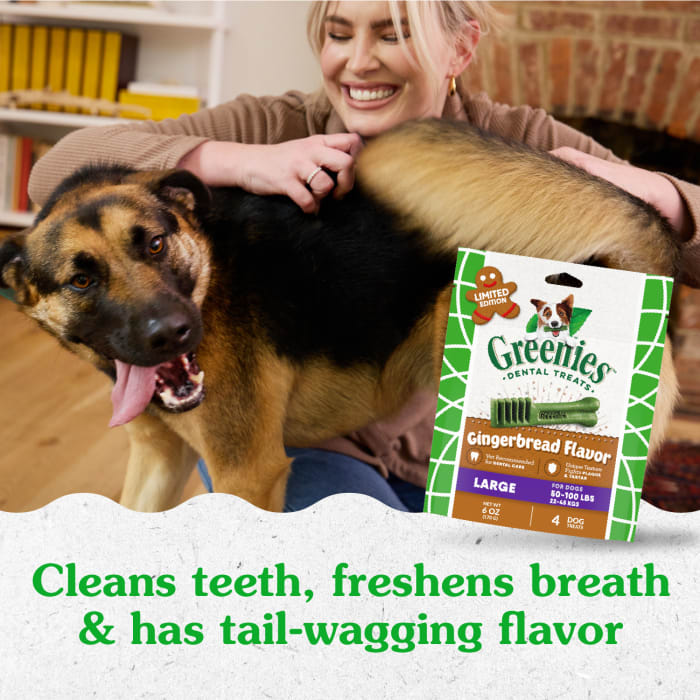 10271612_Greenies_LargeDog_DentalTreats_Gingerbread_4_Treats_lifestyle1.jpg