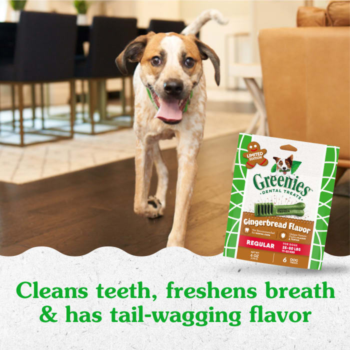 10271623_Greenies_RegularDog_DentalTreats_Gingerbread_6_Treats_lifestyle1.jpg
