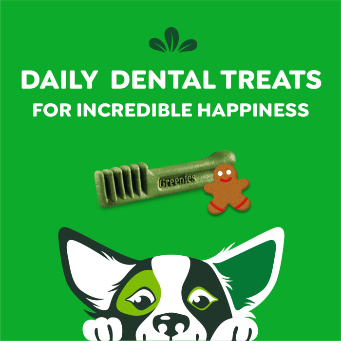 10271624_Greenies_PetiteDog_DentalTreats_Gingerbread_10_Treats_f.jpg