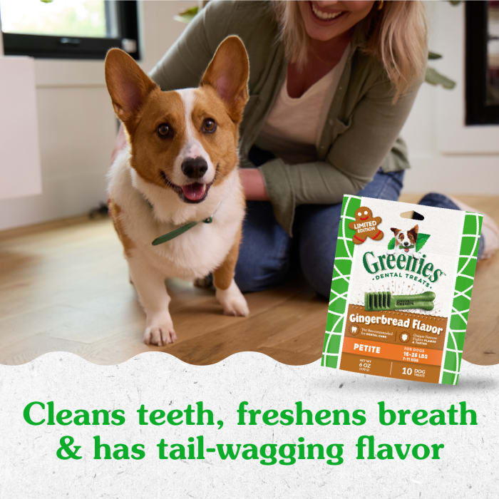 10271624_Greenies_PetiteDog_DentalTreats_Gingerbread_10_Treats_lifestyle1.jpg