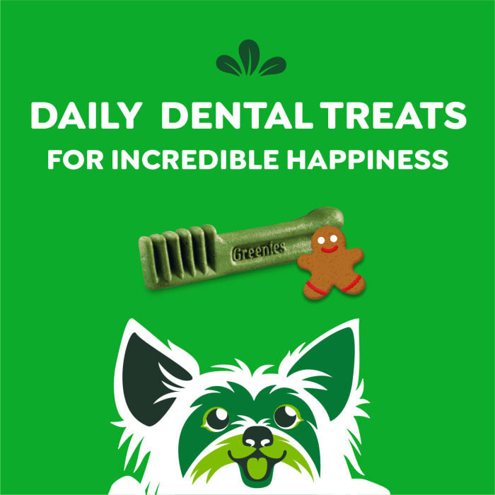 10271625_Greenies_TeenieDog_DentalTreats_Gingerbread_22_Treats_f.jpg