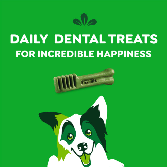 10271772_Greenies_RegularDog_DentalTreats_Original-Flavor_36_Treats_f.jpg