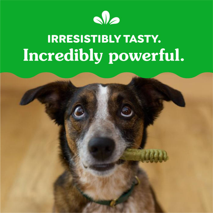 10271772_Greenies_RegularDog_DentalTreats_Original Flavor_36_Treats_claim2.jpg