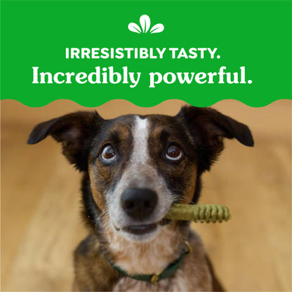 10271772_Greenies_RegularDog_DentalTreats_Original Flavor_36_Treats_claim2.jpg