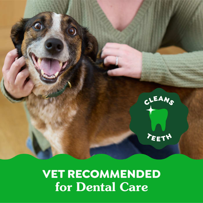 10271772_Greenies_RegularDog_DentalTreats_Original Flavor_36_Treats_lifestyle2.jpg