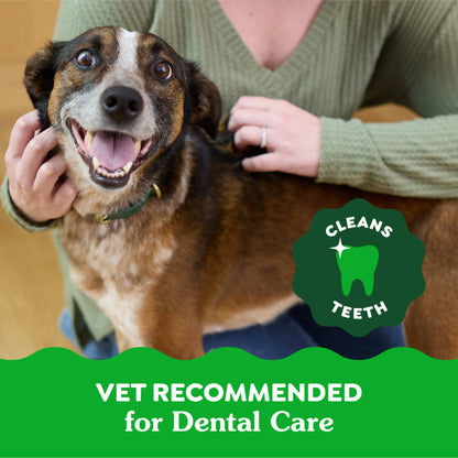 10271772_Greenies_RegularDog_DentalTreats_Original Flavor_36_Treats_lifestyle2.jpg