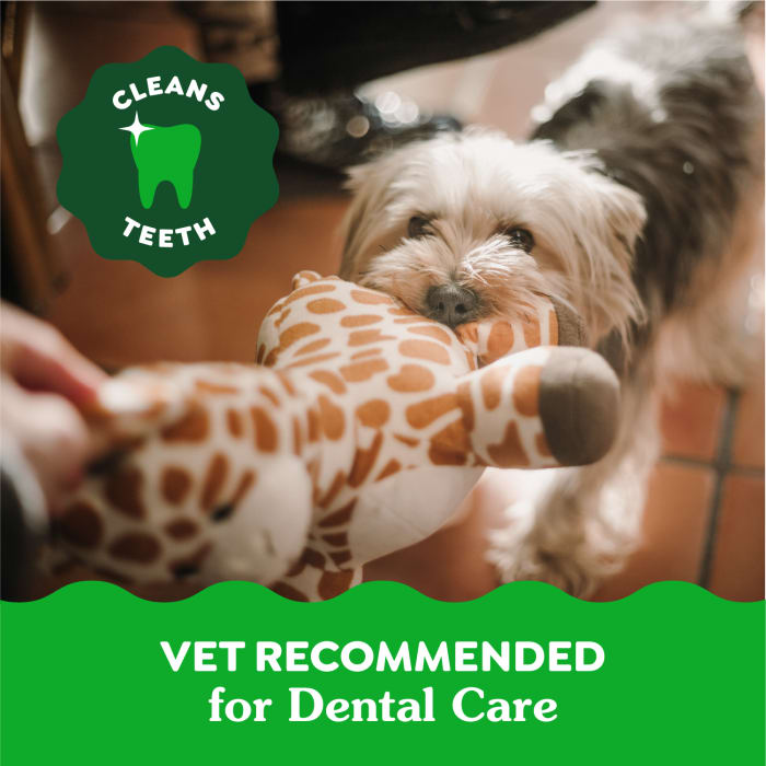 10271804_Greenies_TeenieDog_DentalTreats_Aging_Care_96_Treats_claim2.jpg