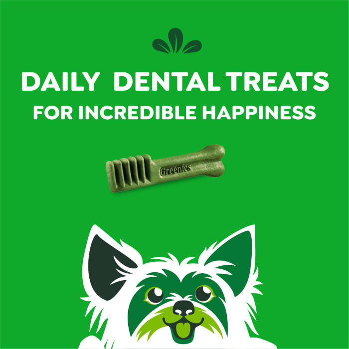 10271804_Greenies_TeenieDog_DentalTreats_Aging_Care_96_Treats_f.jpg