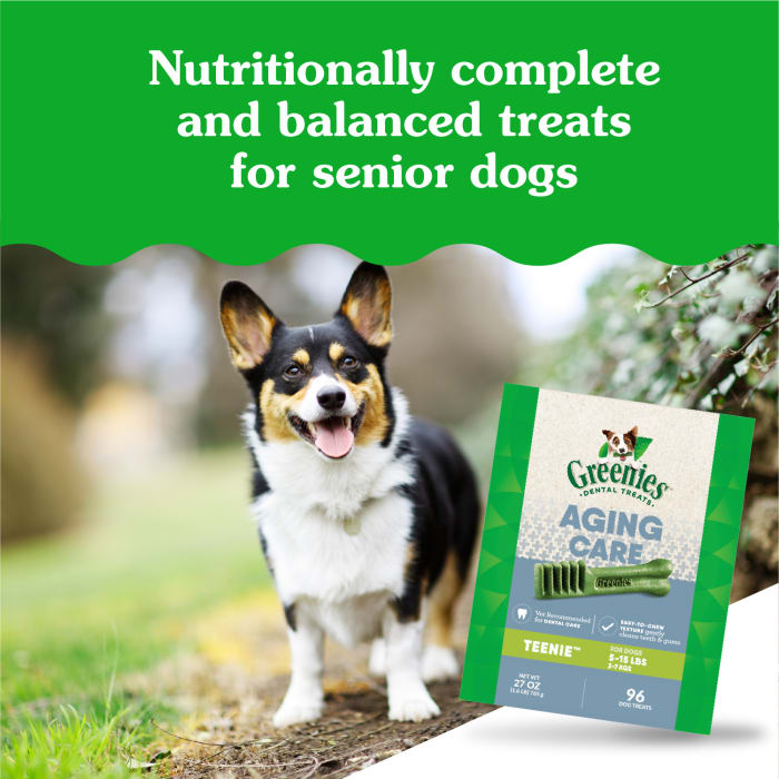 10271804_Greenies_TeenieDog_DentalTreats_Aging_Care_96_Treats_lifestyle1.jpg