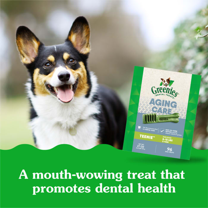 10271804_Greenies_TeenieDog_DentalTreats_Aging_Care_96_Treats_lifestyle2.jpg