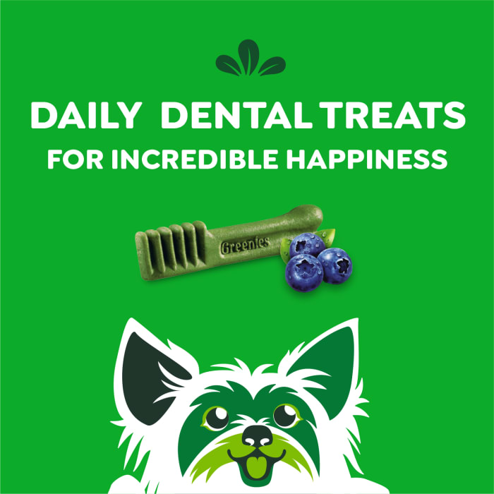 10272330_Greenies_TeenieDog_DentalTreats_Blueberry_43_Treats_f.jpg