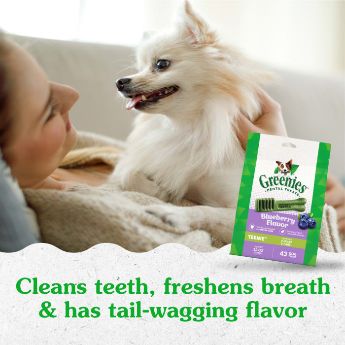 10272330_Greenies_TeenieDog_DentalTreats_Blueberry_43_Treats_lifestyle1.jpg