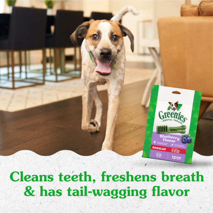 10272331_Greenies_RegularDog_DentalTreats_Blueberry_12_Treats_lifestyle1.jpg