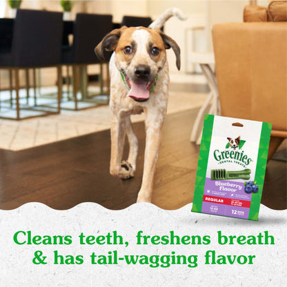 10272331_Greenies_RegularDog_DentalTreats_Blueberry_12_Treats_lifestyle1.jpg