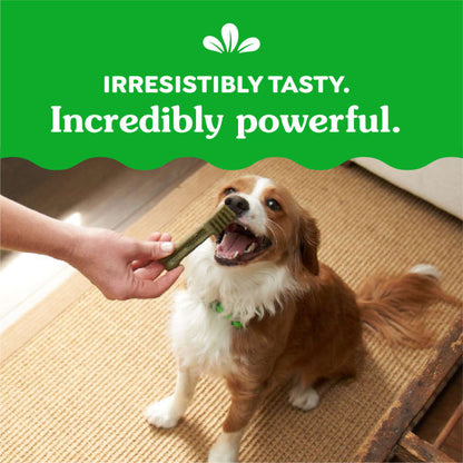 10272332_Greenies_PetiteDog_DentalTreats_Blueberry_20_Treats_claim2.jpg