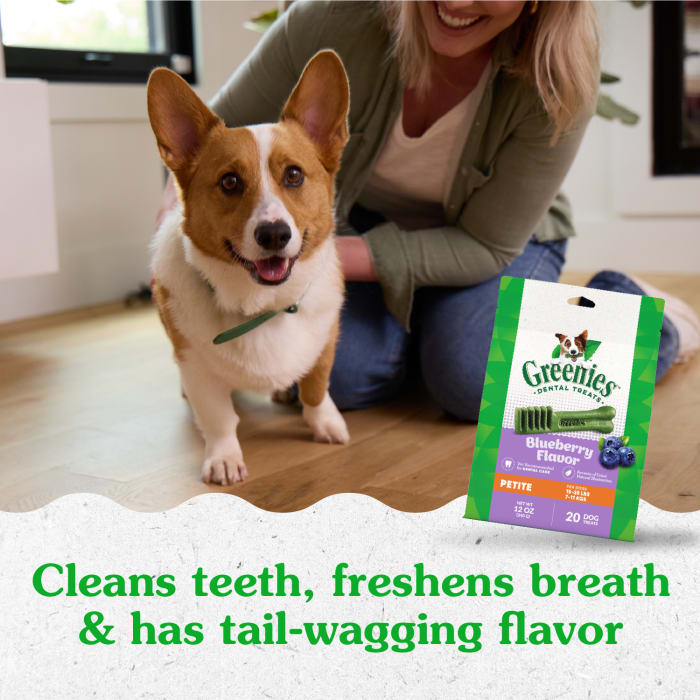 10272332_Greenies_PetiteDog_DentalTreats_Blueberry_20_Treats_lifestyle1.jpg