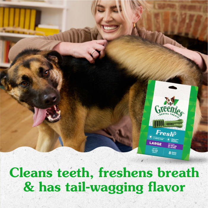 10272334_Greenies_LargeDog_DentalTreats_Fresh_8_Treats_lifestyle1.jpg