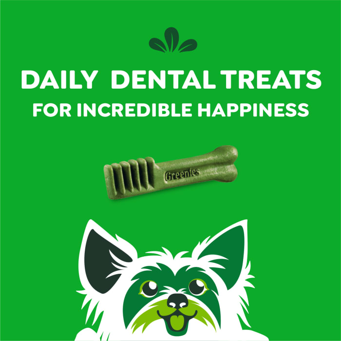 10272392_Greenies_TeenieDog_DentalTreats_Original_43_Treats_f.jpg