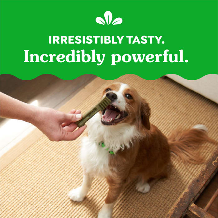 10272502_Greenies_PetiteDog_DentalTreats_Original_20_Treats_claim2.jpg