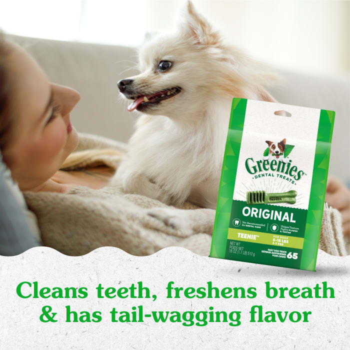 10273529_Greenies_TeenieDog_DentalTreats_Original_260_Treats_lifestyle1.jpg