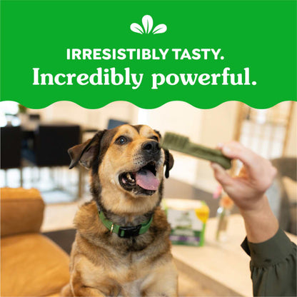 10273867_Greenies_LargeDog_DentalTreats_SweetPotato_8_Treats_claim2.jpg