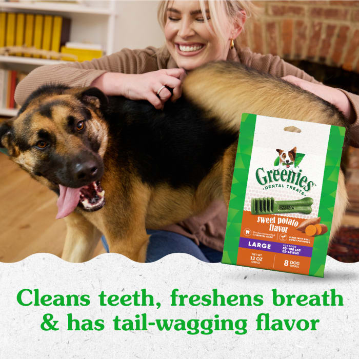 10273867_Greenies_LargeDog_DentalTreats_SweetPotato_8_Treats_lifestyle1.jpg
