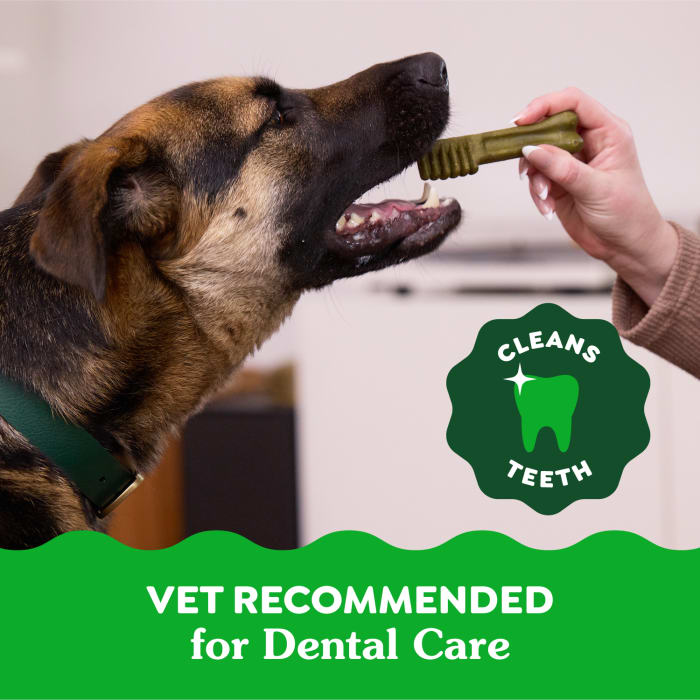 10273867_Greenies_LargeDog_DentalTreats_SweetPotato_8_Treats_lifestyle2.jpg