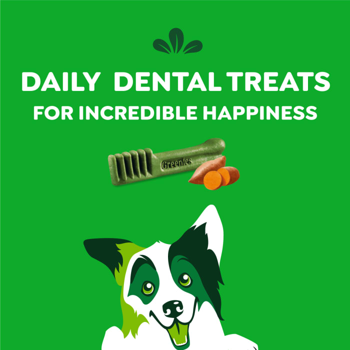 10273868_Greenies_RegularDog_DentalTreats_SweetPotato_12_Treats_f.jpg