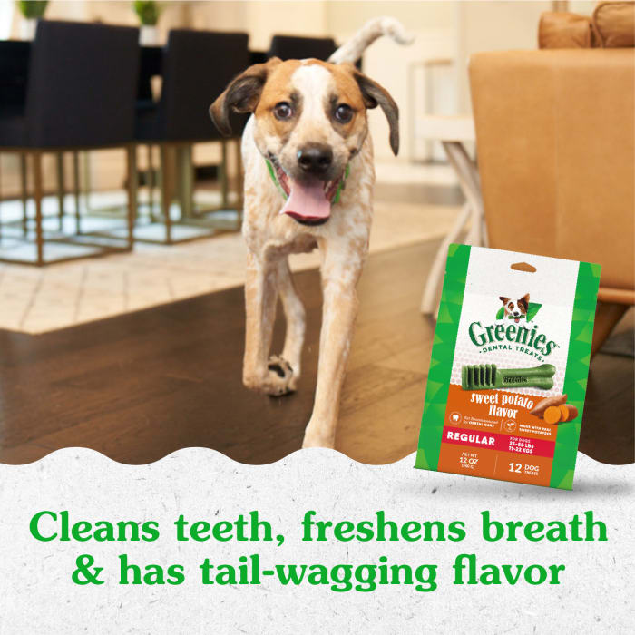 10273868_Greenies_RegularDog_DentalTreats_SweetPotato_12_Treats_lifestyle1.jpg