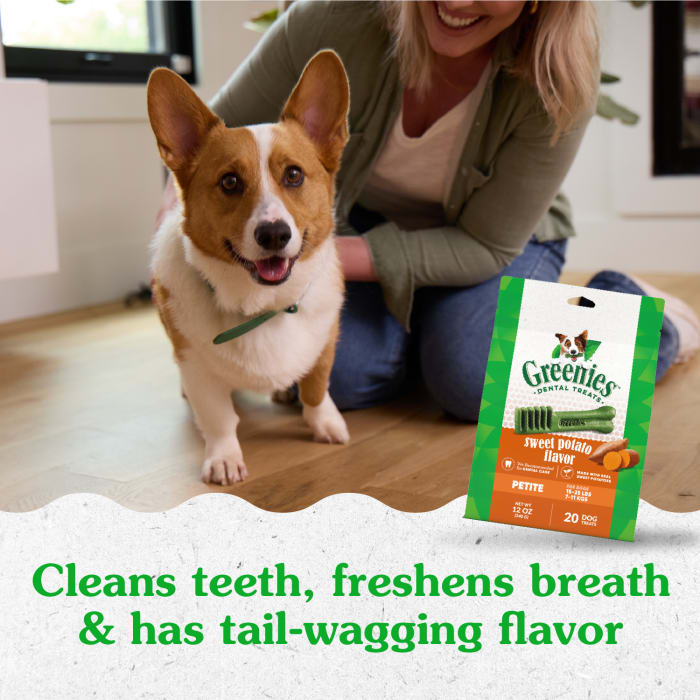 10273869_Greenies_PetiteDog_DentalTreats_SweetPotato_20_Treats_lifestyle1.jpg