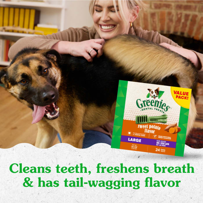 10273947_Greenies_LargeDog_DentalTreats_SweetPotato_24_Treats_lifestyle1.jpg