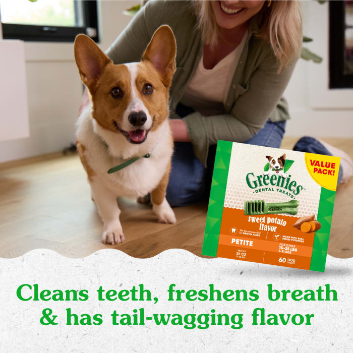 10273949_Greenies_PetiteDog_DentalTreats_SweetPotato_60_Treats_lifestyle1.jpg