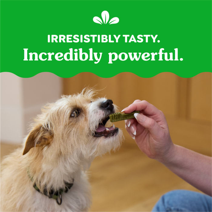 10273950_Greenies_TeenieDog_DentalTreats_SweetPotato_130_Treats_claim2.jpg