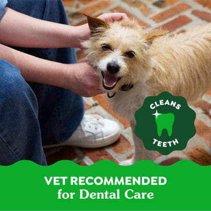 10273950_Greenies_TeenieDog_DentalTreats_SweetPotato_130_Treats_lifestyle2.jpg
