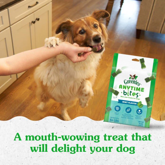 GREENIES ANYTIME BITES Dog Treats, Mint Flavor, 24 oz. bag