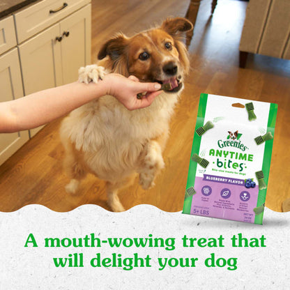 10275936_Greenies_Dog_AnytimeBites_Blueberry_Flavor_24_oz_lifestyle1.jpg