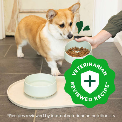10277138_Greenies_DryDog_SB_Chicken_27lb_lifestyle1.jpg
