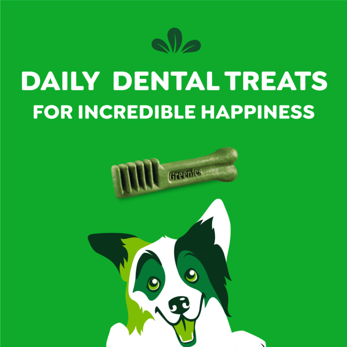 10277456_Greenies_RegularDog_DentalTreats_Original-Flavor_54_Treats_f.jpg