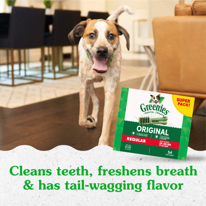 10277456_Greenies_RegularDog_DentalTreats_Original Flavor_54_Treats_lifestyle1.jpg