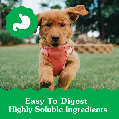 10277802_92040_Greenies_Petite_Dental_Chew_6oz_Claim1.jpg