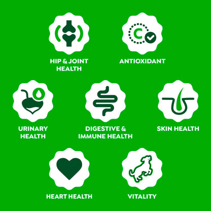 10400396_Greenies_Supplements_MultiBenefit_Chicken_80ct_Claim1.jpg