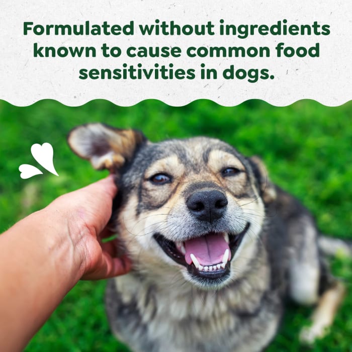 10403239_Greenies_Dog_Supplements_Sensitive_DigestiveHealth_80ct_Lifestyle.jpg