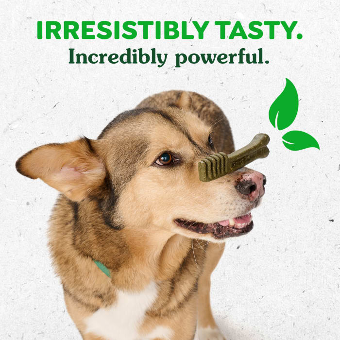 10412360_Greenies_Dental_Large_GB_6oz_Claims2.jpg