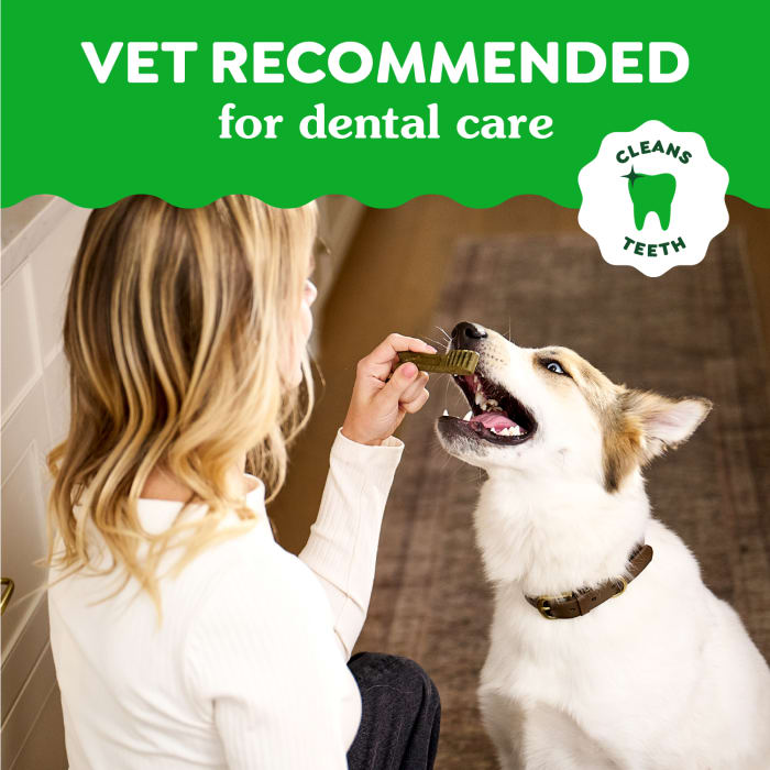10412360_Greenies_Dental_Large_GB_6oz_claims3.jpg