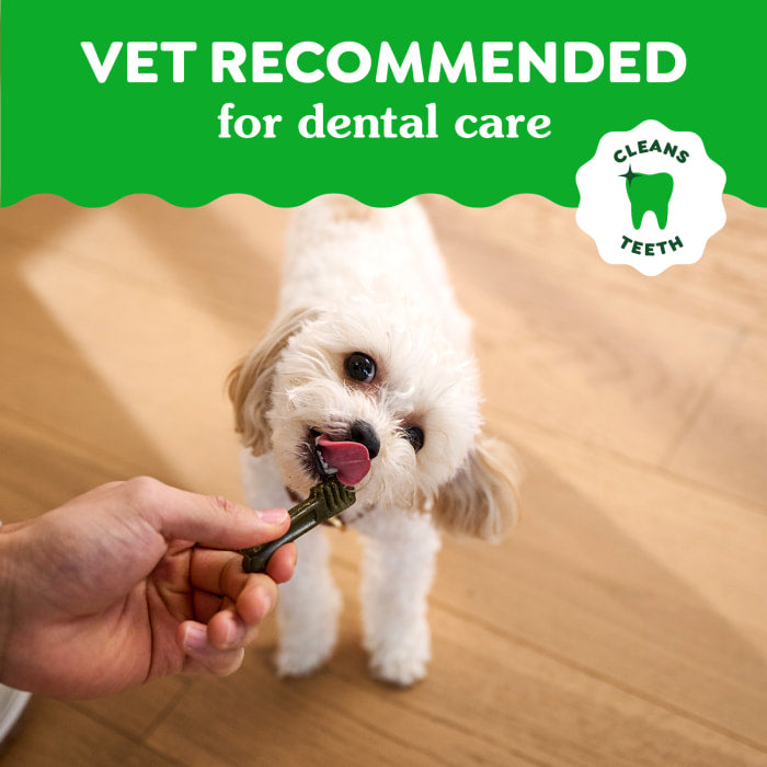 10412363_Greenies_Dental_Teenie_GB_6oz_claims3.jpg
