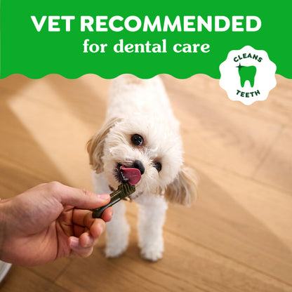 10412363_Greenies_Dental_Teenie_GB_6oz_claims3.jpg