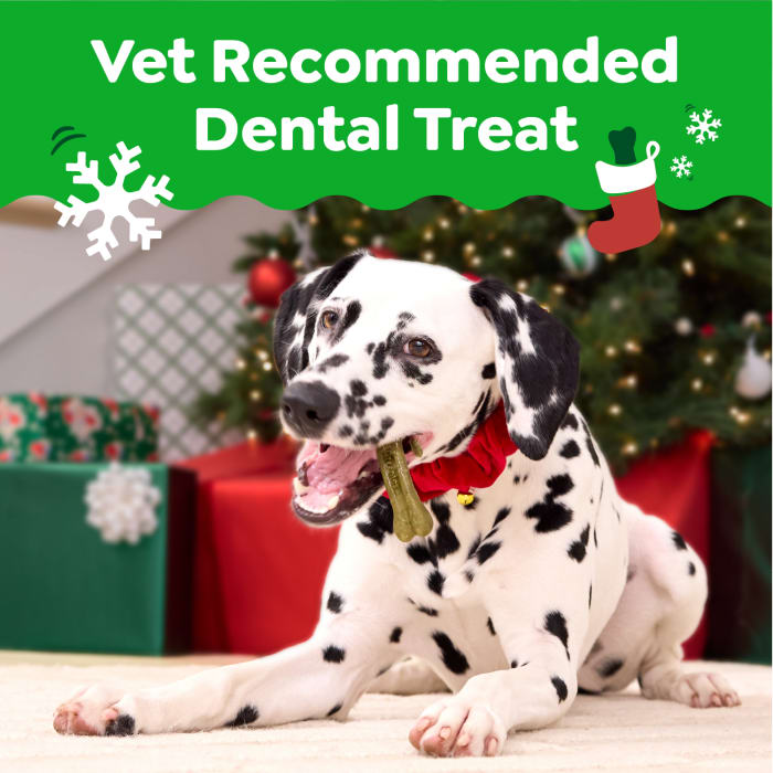 10412365_GRE_Dog_Dental_Regular_Gingerbread_6ct_Claim1.jpg