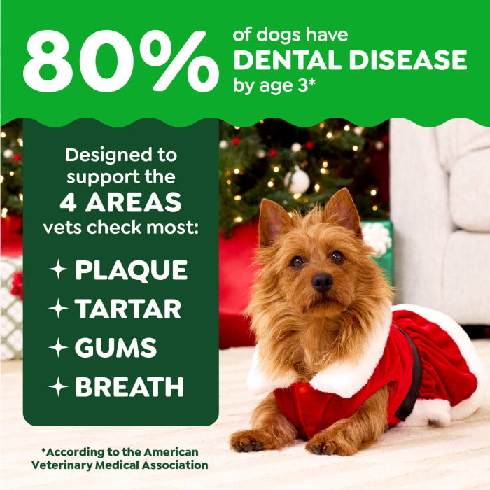 10412365_GRE_Dog_Dental_Regular_Gingerbread_6ct_Claim2.jpg